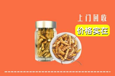 宿迁市沭阳回收散虫草
