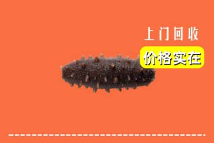 宿迁市沭阳回收海参